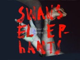 Swans Reflecting Elephants by Manuel Tur